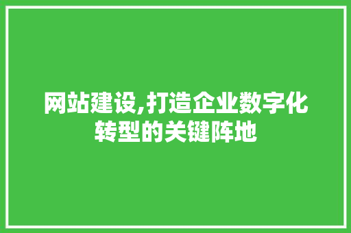 网站建设,打造企业数字化转型的关键阵地