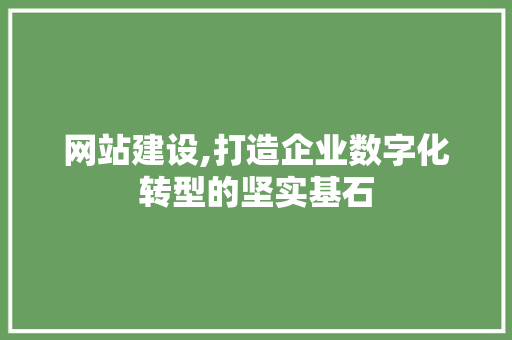 网站建设,打造企业数字化转型的坚实基石 网站建设,打造企业数字化转型的坚实基石 SEO关键词