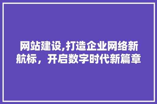 网站建设,打造企业网络新航标，开启数字时代新篇章
