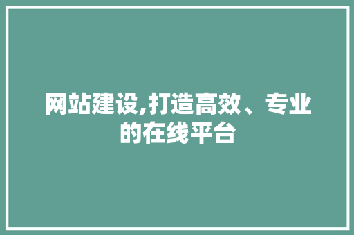 网站建设,打造高效、专业的在线平台