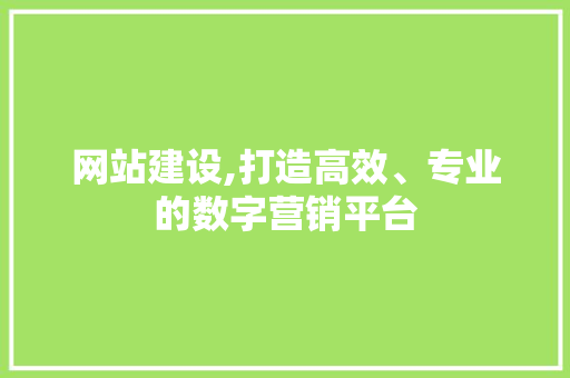 网站建设,打造高效、专业的数字营销平台