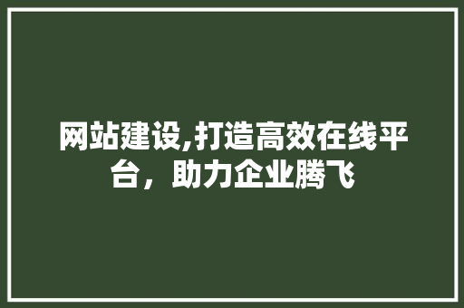 网站建设,打造高效在线平台，助力企业腾飞 网站建设,打造高效在线平台，助力企业腾飞 SEO关键词