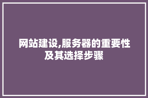 网站建设,服务器的重要性及其选择步骤