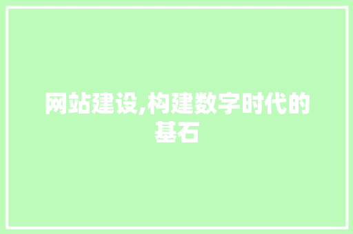 网站建设,构建数字时代的基石