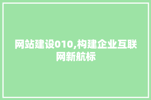 网站建设010,构建企业互联网新航标