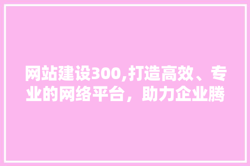 网站建设300,打造高效、专业的网络平台，助力企业腾飞 网站建设300,打造高效、专业的网络平台，助力企业腾飞 必应SEO