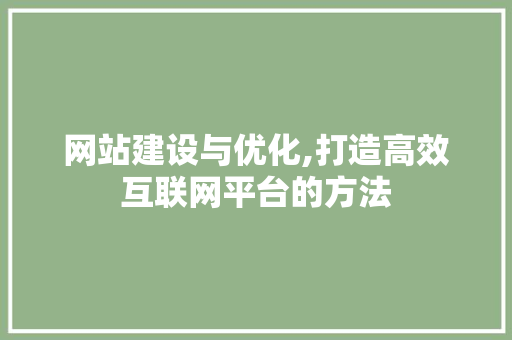 网站建设与优化,打造高效互联网平台的方法