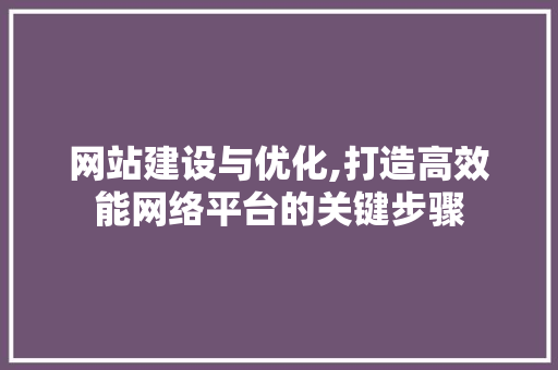 网站建设与优化,打造高效能网络平台的关键步骤