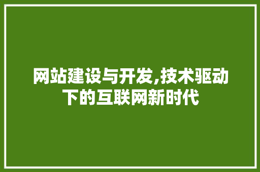 网站建设与开发,技术驱动下的互联网新时代 网站建设与开发,技术驱动下的互联网新时代 神马SEO