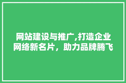 网站建设与推广,打造企业网络新名片，助力品牌腾飞