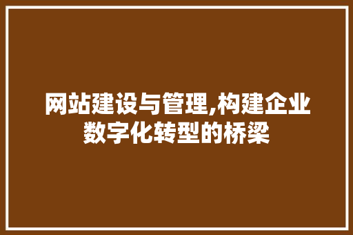 网站建设与管理,构建企业数字化转型的桥梁
