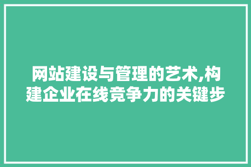 网站建设与管理的艺术,构建企业在线竞争力的关键步骤