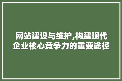 网站建设与维护,构建现代企业核心竞争力的重要途径
