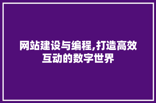 网站建设与编程,打造高效互动的数字世界