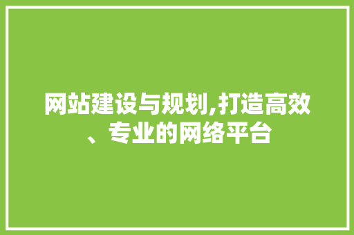网站建设与规划,打造高效、专业的网络平台