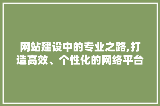 网站建设中的专业之路,打造高效、个性化的网络平台