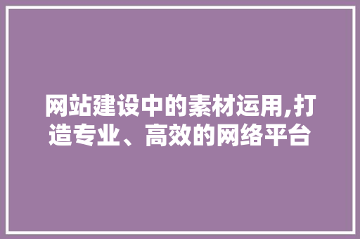 网站建设中的素材运用,打造专业、高效的网络平台