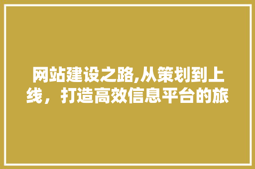 网站建设之路,从策划到上线，打造高效信息平台的旅程