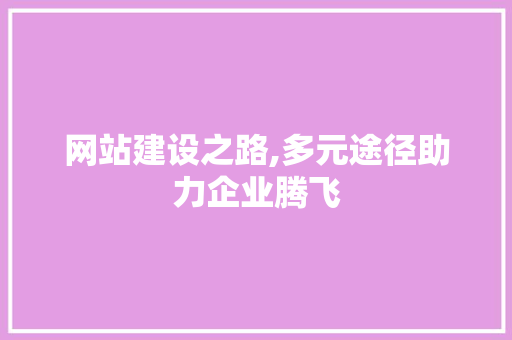 网站建设之路,多元途径助力企业腾飞