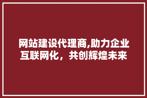 网站建设代理商,助力企业互联网化，共创辉煌未来