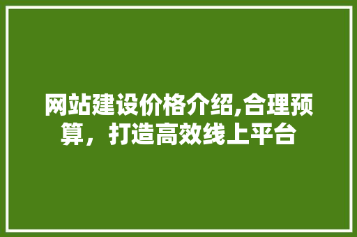 网站建设价格介绍,合理预算，打造高效线上平台 网站建设价格介绍,合理预算，打造高效线上平台 网站建设公司