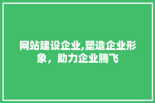网站建设企业,塑造企业形象，助力企业腾飞 网站建设企业,塑造企业形象，助力企业腾飞 SEO关键词