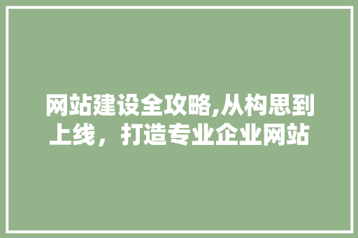 网站建设全攻略,从构思到上线，打造专业企业网站 网站建设全攻略,从构思到上线，打造专业企业网站 必应SEO
