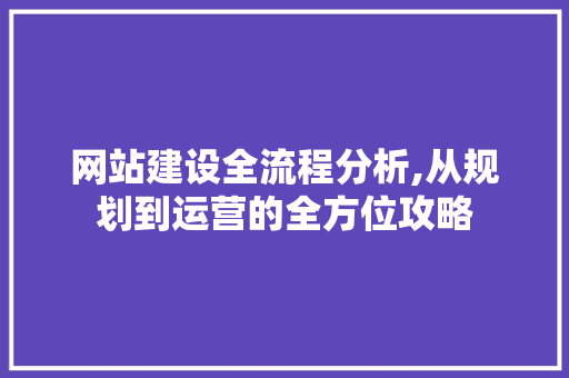 网站建设全流程分析,从规划到运营的全方位攻略