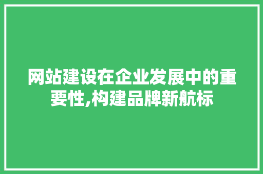 网站建设在企业发展中的重要性,构建品牌新航标