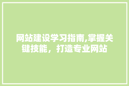 网站建设学习指南,掌握关键技能，打造专业网站