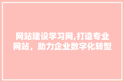 网站建设学习网,打造专业网站，助力企业数字化转型