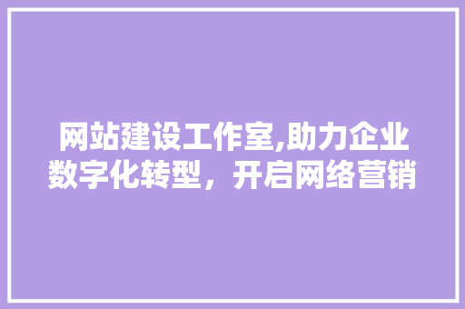 网站建设工作室,助力企业数字化转型，开启网络营销新篇章