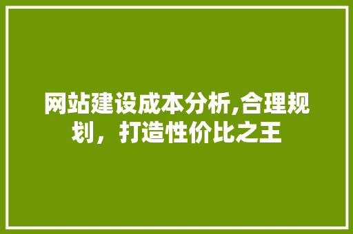 网站建设成本分析,合理规划，打造性价比之王 网站建设成本分析,合理规划，打造性价比之王 神马SEO