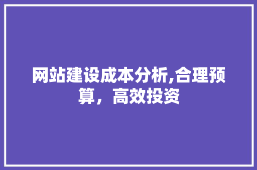 网站建设成本分析,合理预算，高效投资