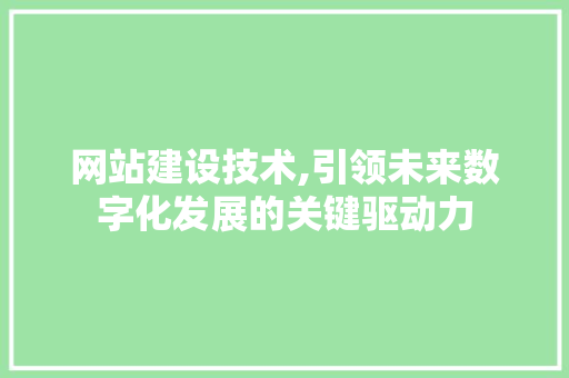网站建设技术,引领未来数字化发展的关键驱动力 网站建设技术,引领未来数字化发展的关键驱动力 必应SEO