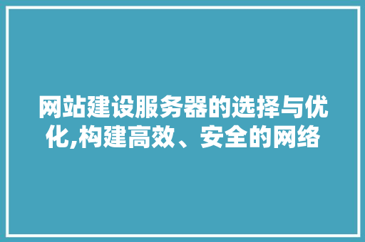 网站建设服务器的选择与优化,构建高效、安全的网络平台