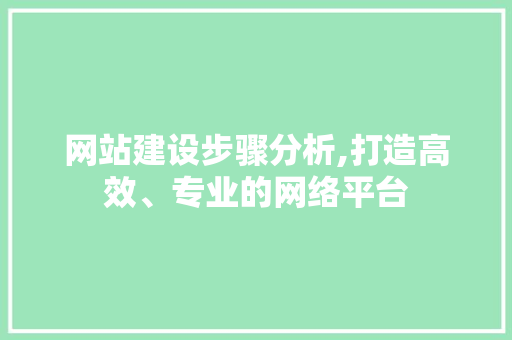 网站建设步骤分析,打造高效、专业的网络平台