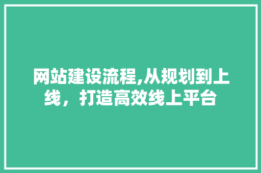 网站建设流程,从规划到上线，打造高效线上平台 网站建设流程,从规划到上线，打造高效线上平台 神马SEO