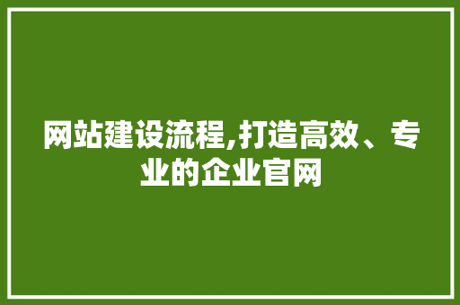 网站建设流程,打造高效、专业的企业官网