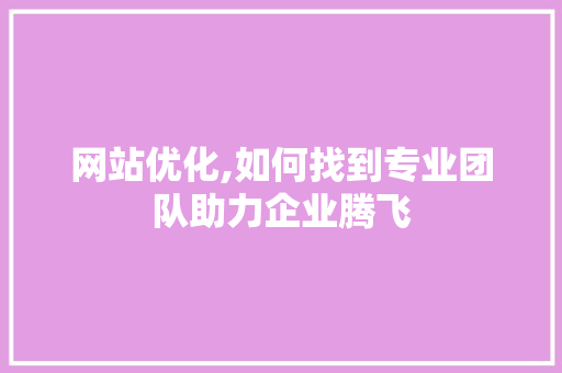 网站优化,如何找到专业团队助力企业腾飞