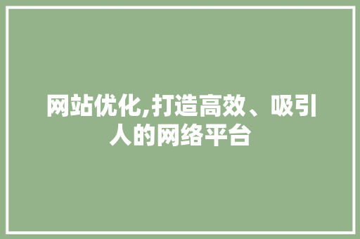 网站优化,打造高效、吸引人的网络平台