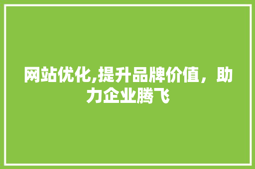 网站优化,提升品牌价值，助力企业腾飞