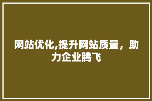 网站优化,提升网站质量，助力企业腾飞