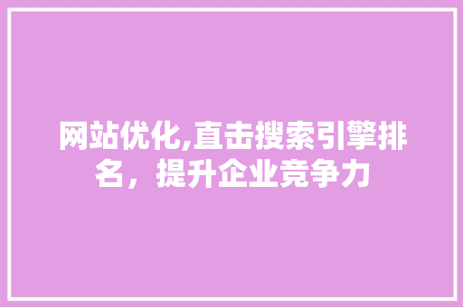 网站优化,直击搜索引擎排名，提升企业竞争力