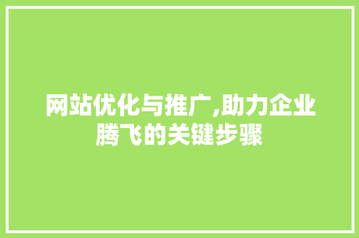 网站优化与推广,助力企业腾飞的关键步骤