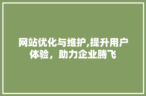 网站优化与维护,提升用户体验，助力企业腾飞