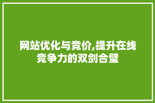 网站优化与竞价,提升在线竞争力的双剑合璧