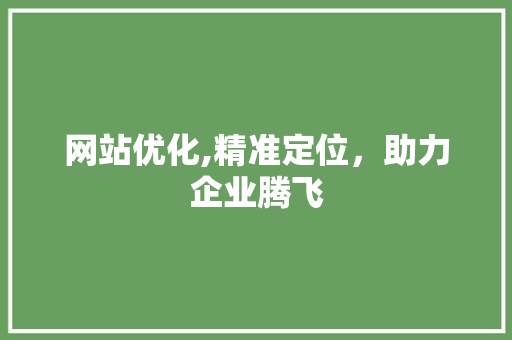 网站优化,精准定位，助力企业腾飞