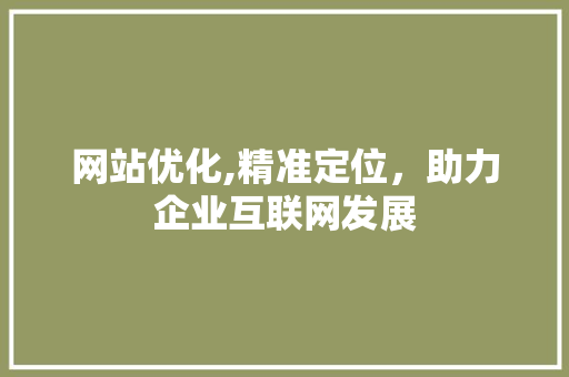网站优化,精准定位，助力企业互联网发展