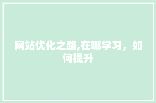 网站优化之路,在哪学习，如何提升 网站建设公司